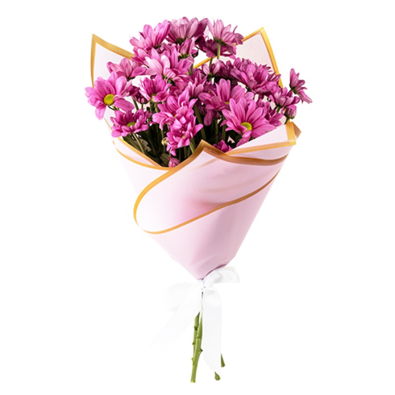 Pembe papatya 