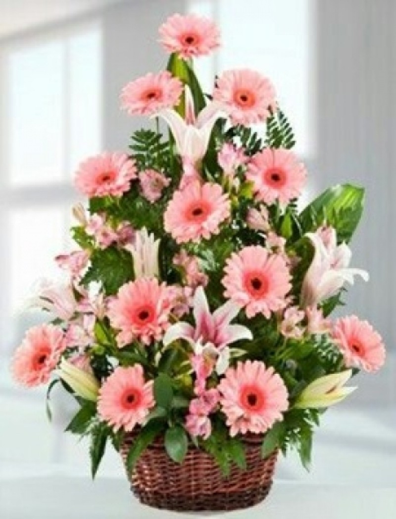 Pembe arajman 