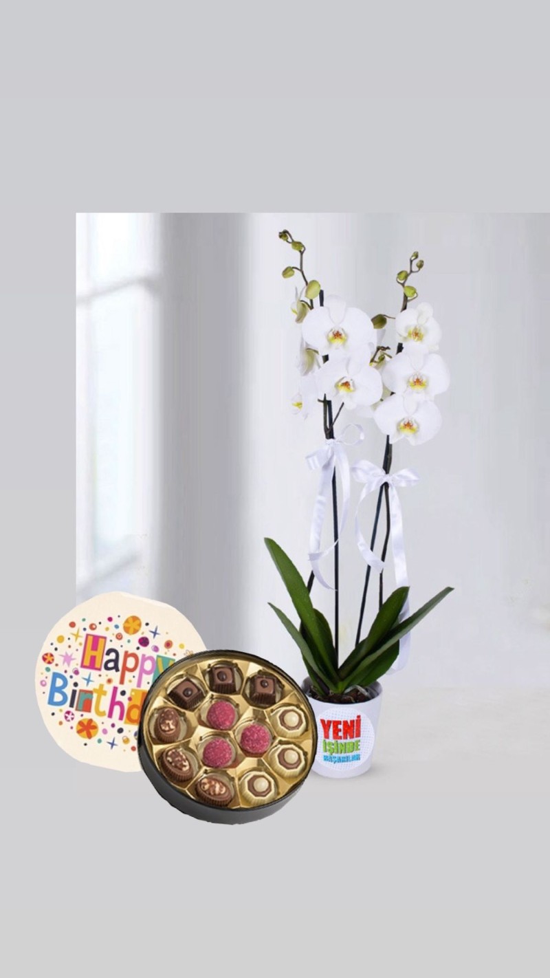Beyaz Orkide & Happy Birthday Temalı Çikolata