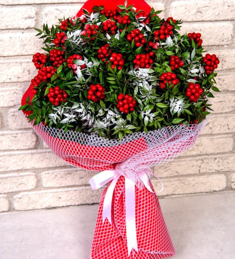 KUCAK DOLUSU KOKİNA