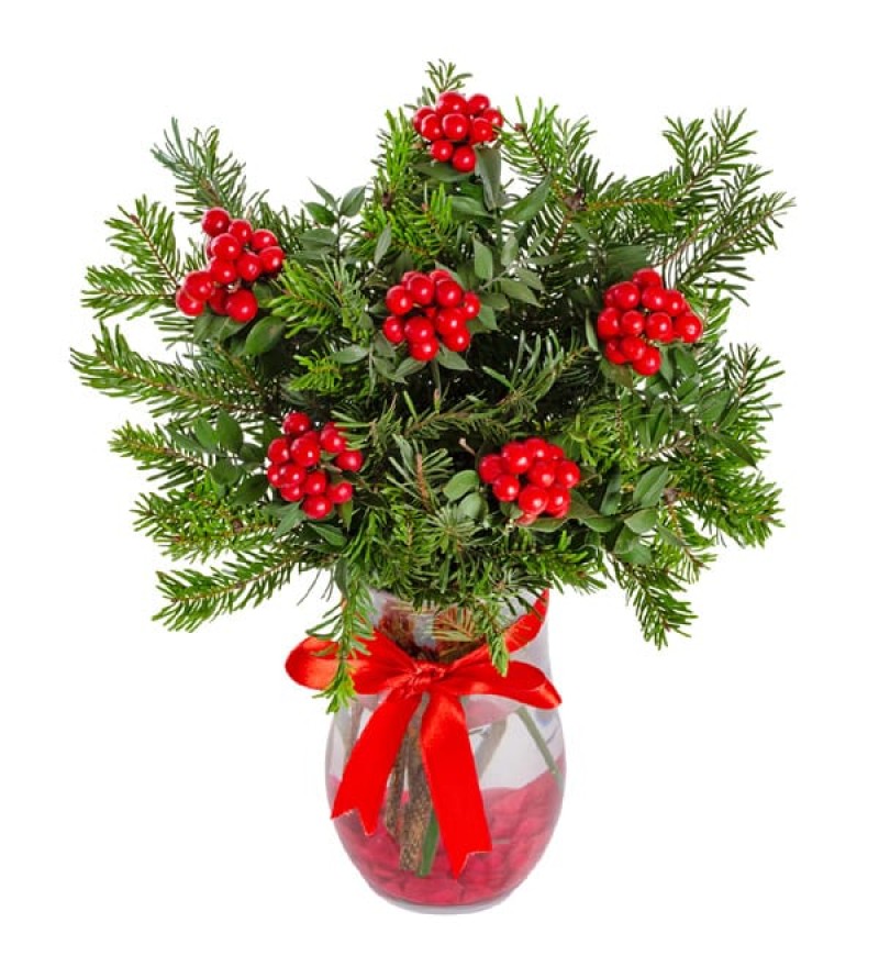 CAM VAZODA SADE KOKİNA